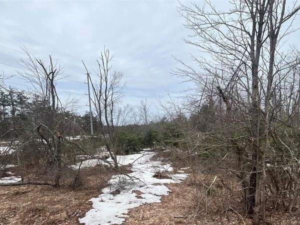 Lot 41 Altorf Strasse, Livingston Twp, MI 49735