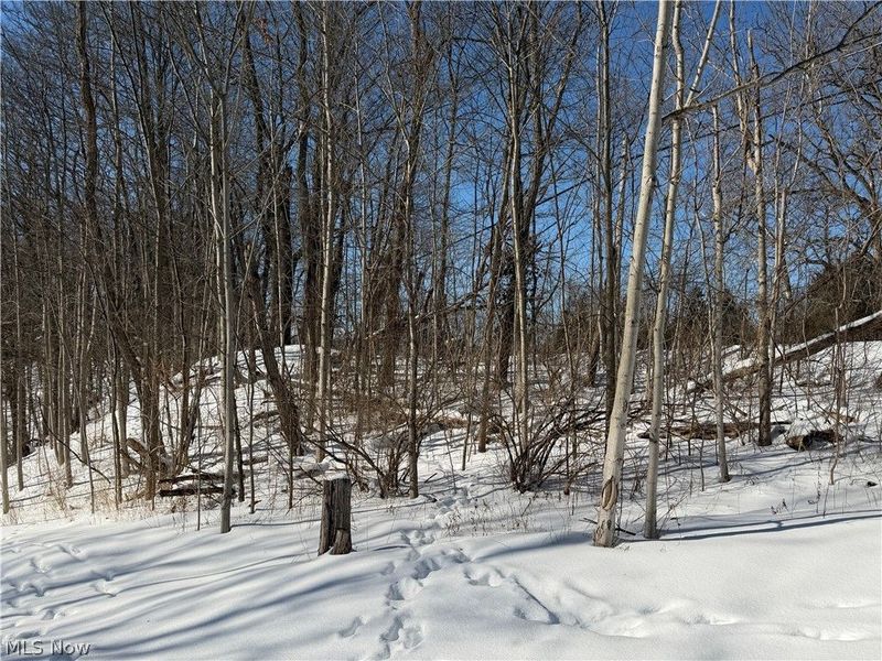 Old Weymouth Road, Medina, OH 44256 Photo 3