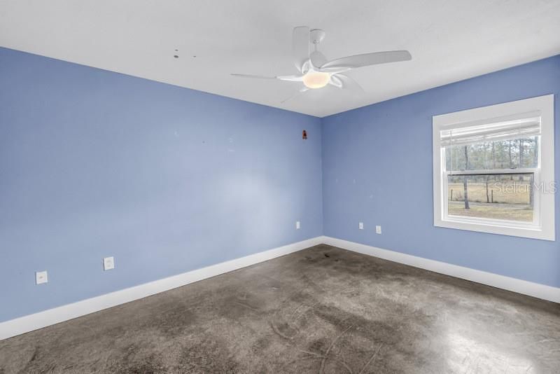 8521 Ehren Cutoff, Land O Lakes, FL 34639 Photo