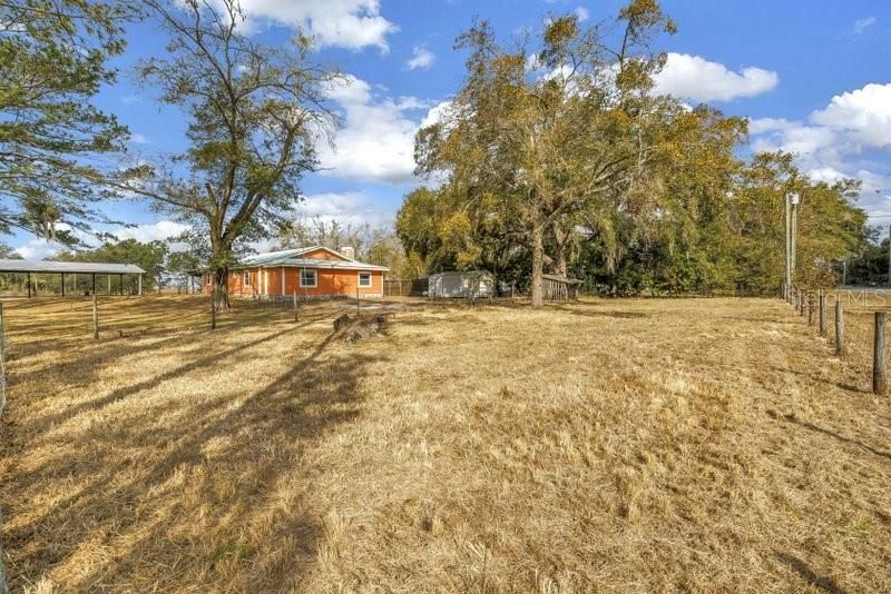 8521 Ehren Cutoff, Land O Lakes, FL 34639 Photo