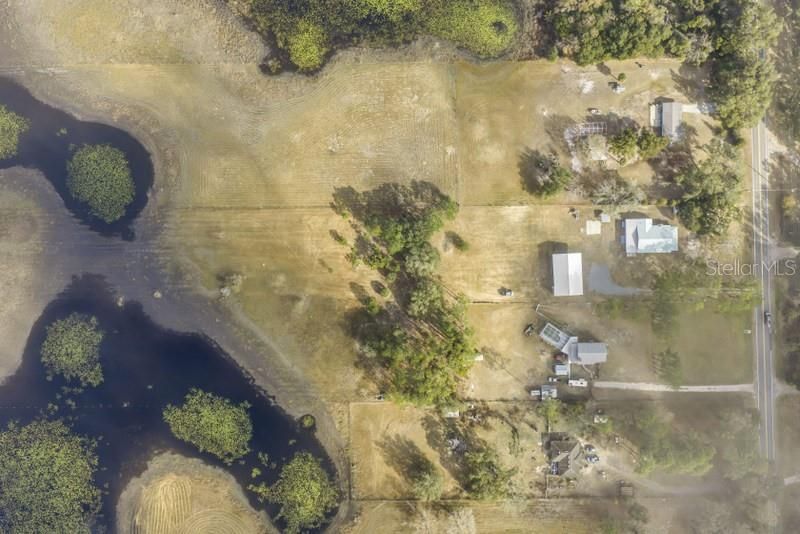 8521 Ehren Cutoff, Land O Lakes, FL 34639 Photo