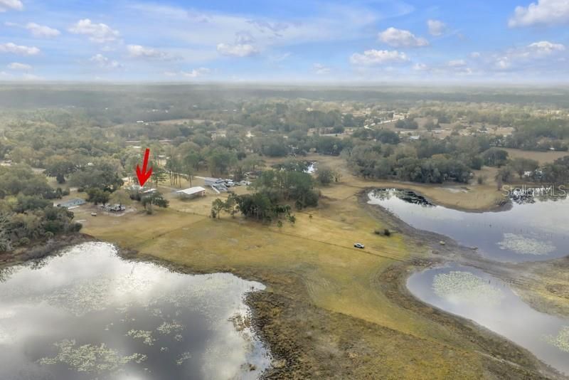 8521 Ehren Cutoff, Land O Lakes, FL 34639 Photo