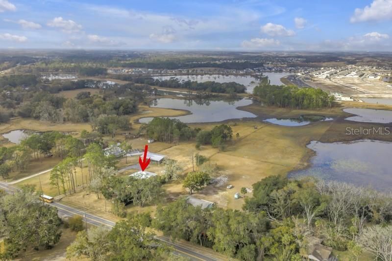8521 Ehren Cutoff, Land O Lakes, FL 34639 Photo