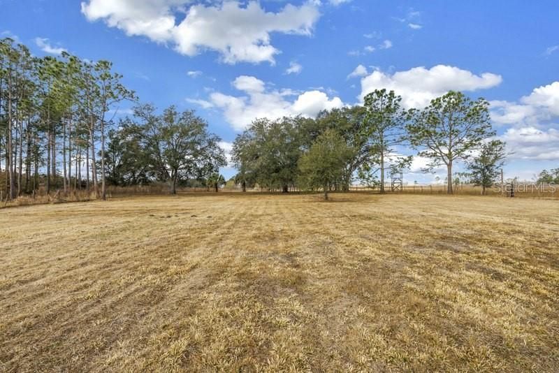 8521 Ehren Cutoff, Land O Lakes, FL 34639 Photo