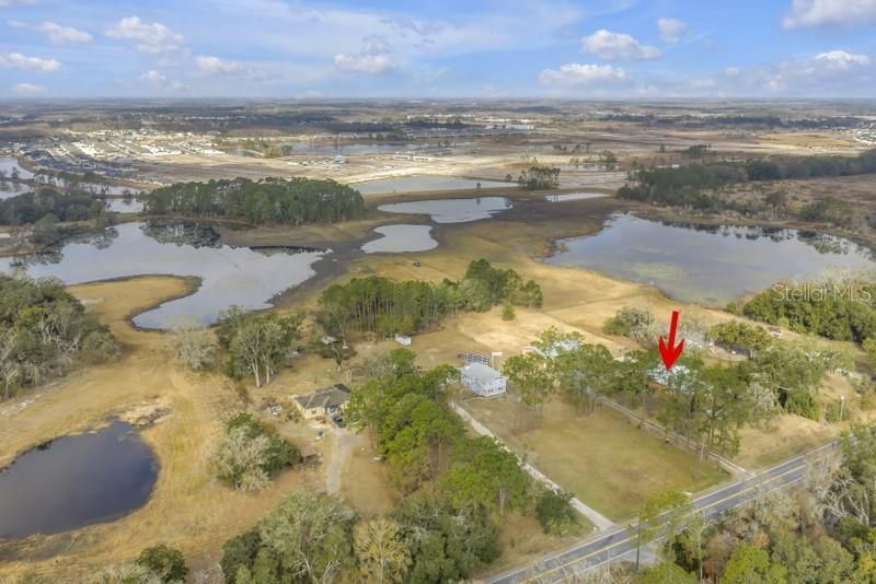 8521 Ehren Cutoff, Land O Lakes, FL 34639 Photo
