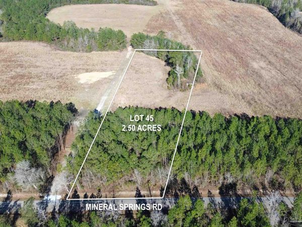 Lot 45 Mineral Springs Rd, Jay, FL 32565