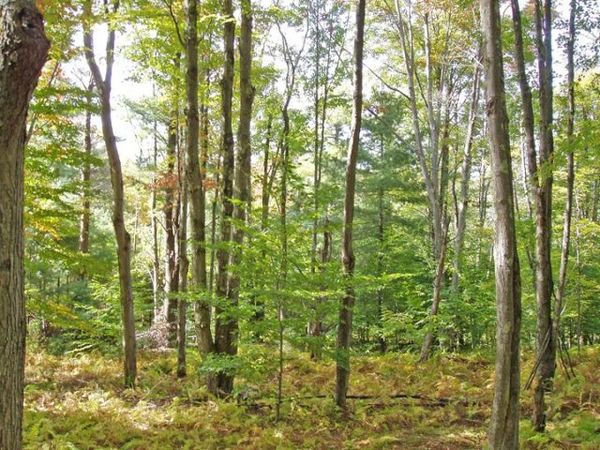 Lot #28 Timberland Drive, Andes, NY 13731