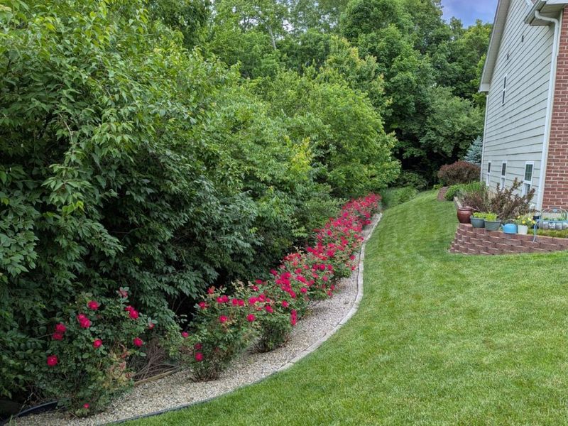 415 Brookhurst Drive, Monroe, OH 45050 Photo 5