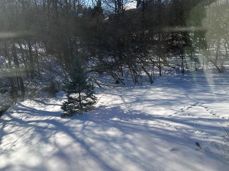 415 Brookhurst Drive, Monroe, OH 45050 Photo 54