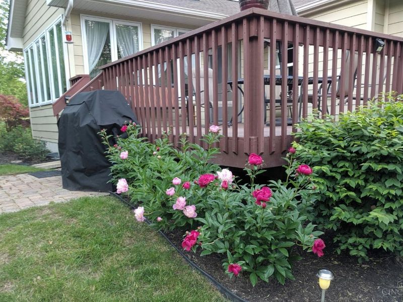 415 Brookhurst Drive, Monroe, OH 45050 Photo 6