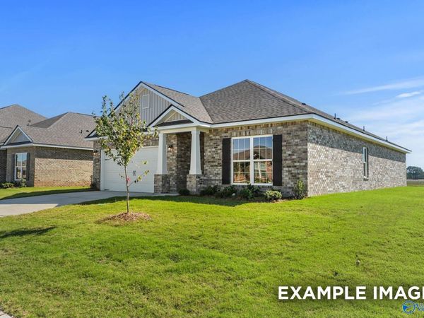 122 Cotita Drive, Toney, AL 35773