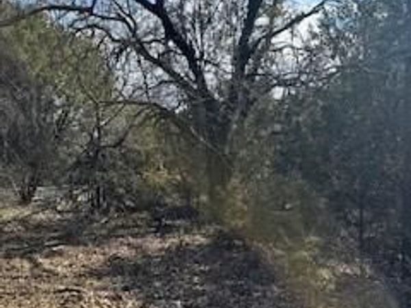 21039 Shady Oak Court , Whitney, TX 76692