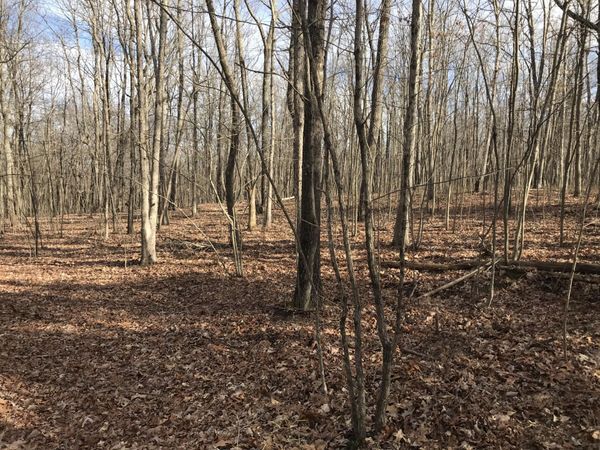 0 Greenfields Way N, Dunlap, TN 37327