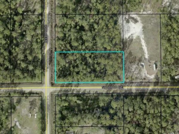 2655 BEECH BOULEVARD, BUNNELL, FL 32110