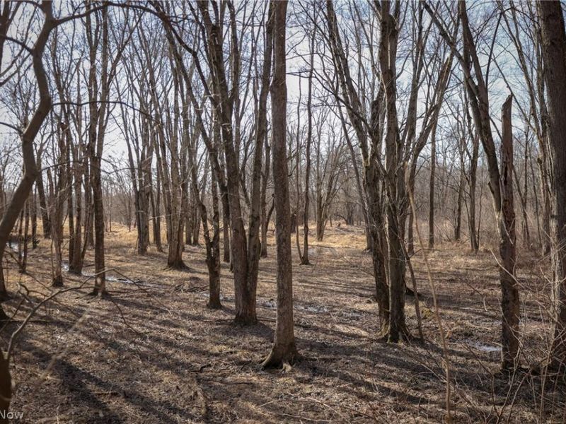 0 US 322, Williamsfield, OH 44093 Photo 10