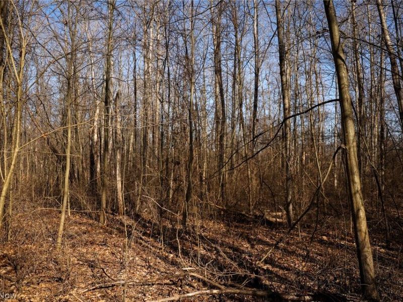 0 US 322, Williamsfield, OH 44093 Photo 11