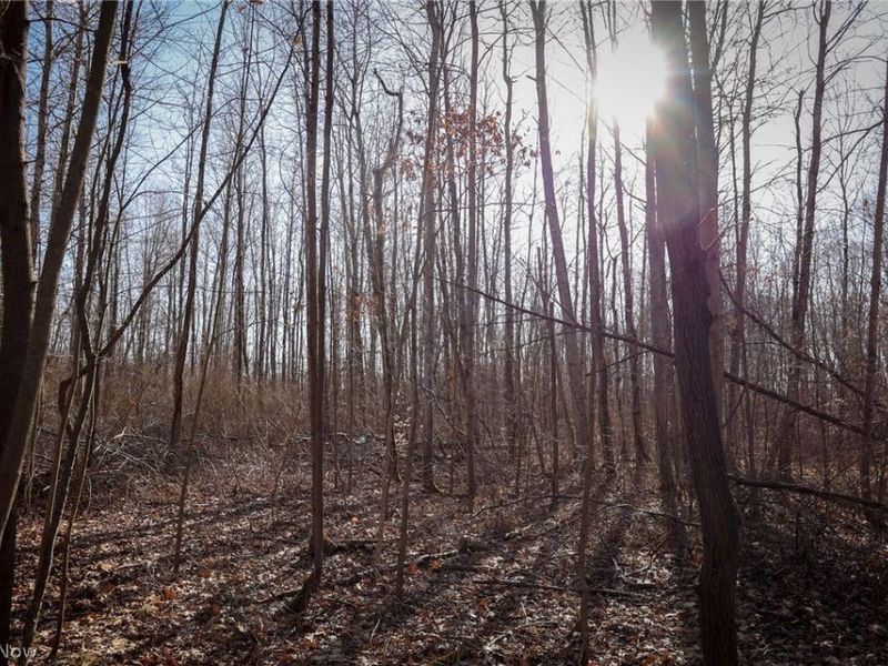 0 US 322, Williamsfield, OH 44093 Photo 12