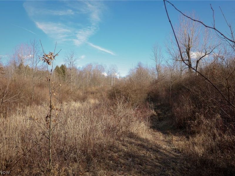 0 US 322, Williamsfield, OH 44093 Photo 13