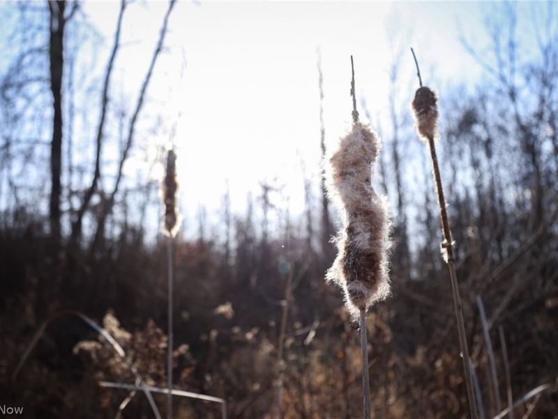 0 US 322, Williamsfield, OH 44093 Photo 14