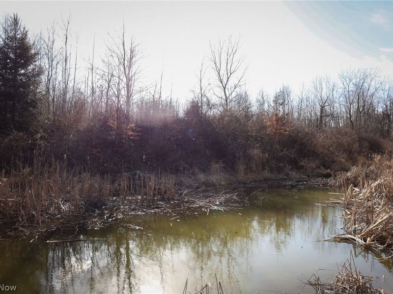 0 US 322, Williamsfield, OH 44093 Photo 16