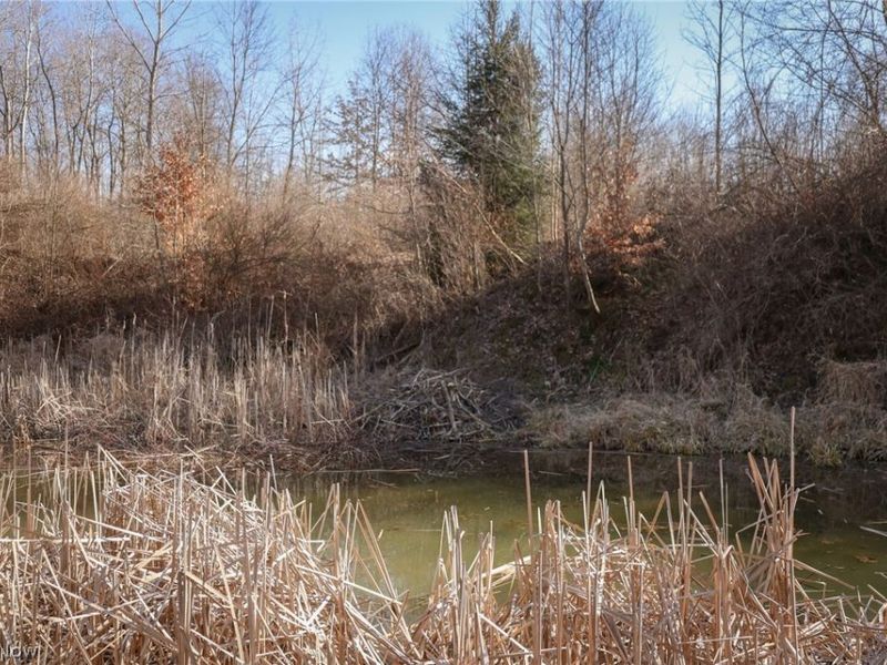 0 US 322, Williamsfield, OH 44093 Photo 17