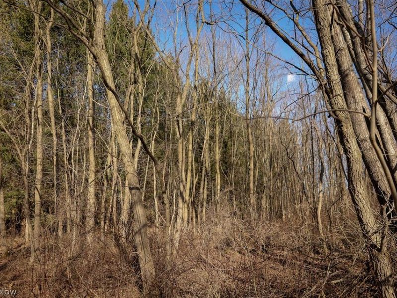 0 US 322, Williamsfield, OH 44093 Photo 19