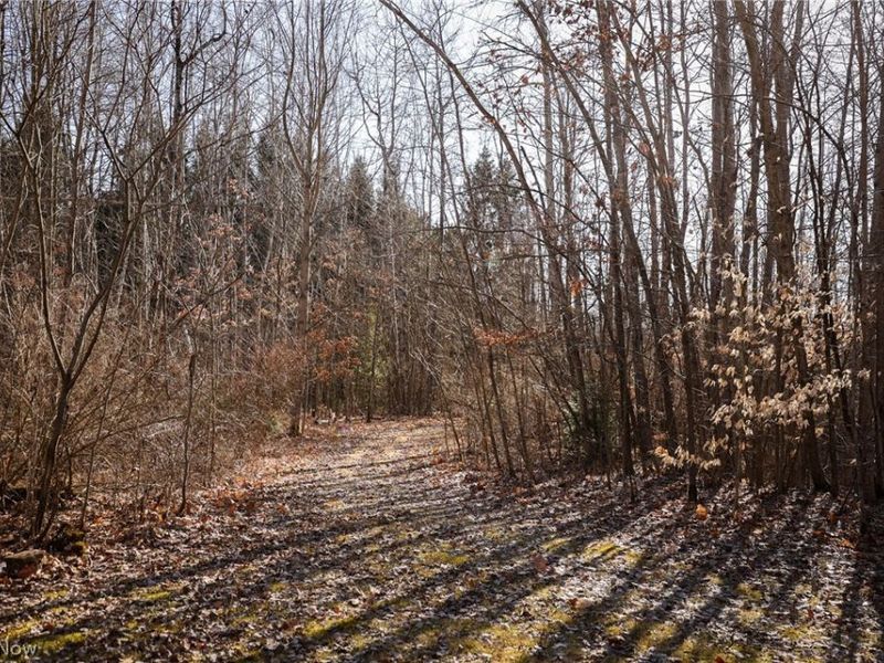 0 US 322, Williamsfield, OH 44093 Photo 2