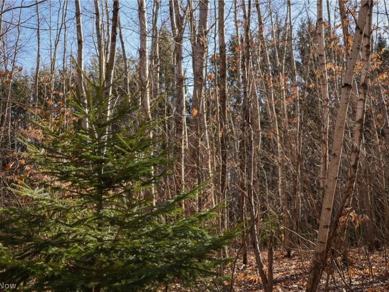 0 US 322, Williamsfield, OH 44093 Photo 3