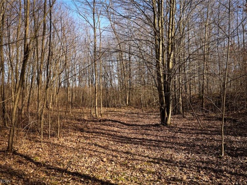 0 US 322, Williamsfield, OH 44093 Photo 4