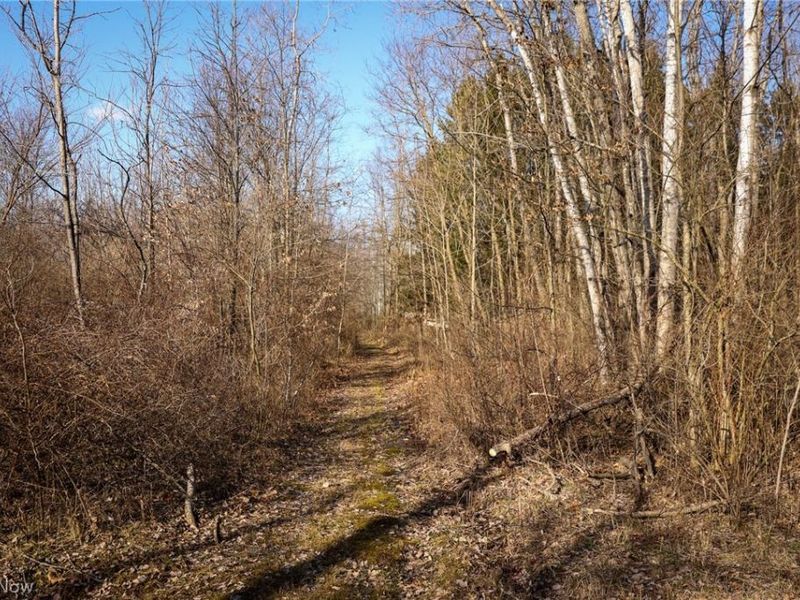 0 US 322, Williamsfield, OH 44093 Photo 5