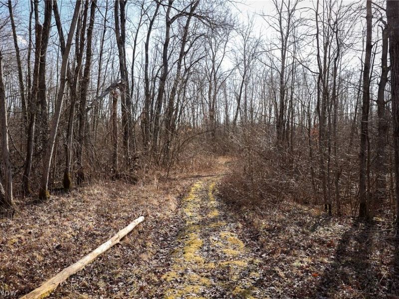 0 US 322, Williamsfield, OH 44093 Photo 6