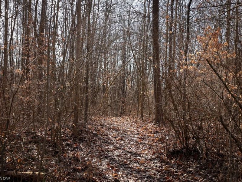 0 US 322, Williamsfield, OH 44093 Photo 8