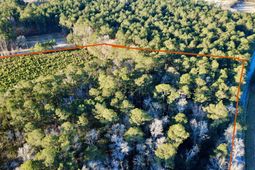 1 Dantzler Road photo 4