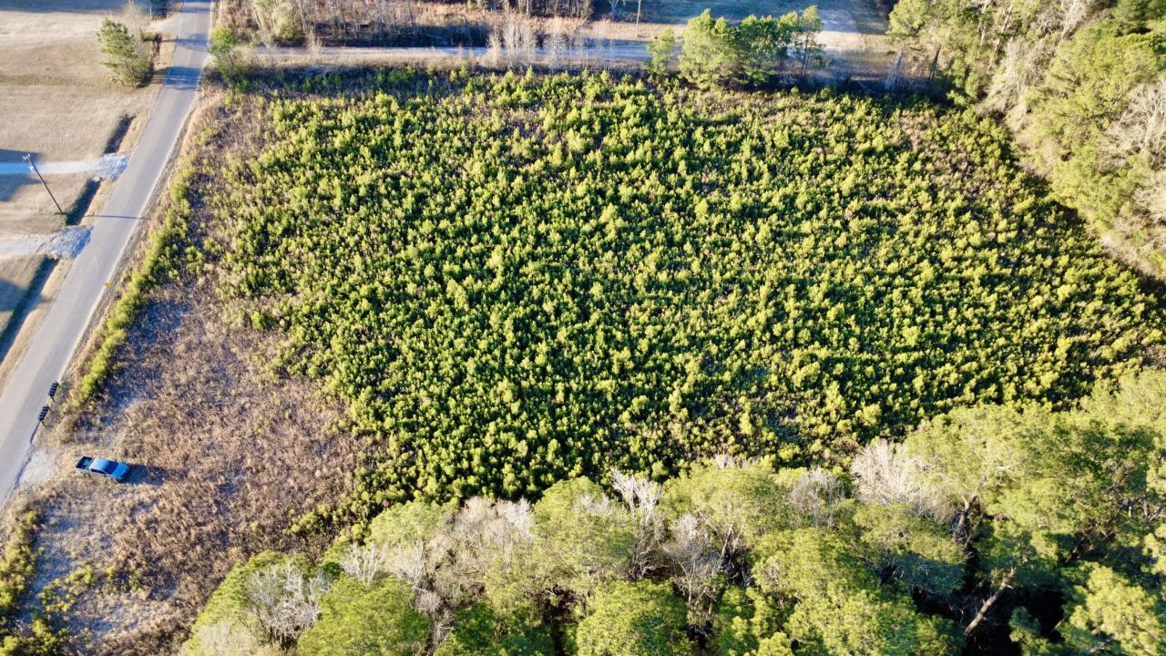 1 Dantzler Road Photo 5