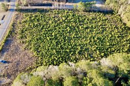 1 Dantzler Road photo 4