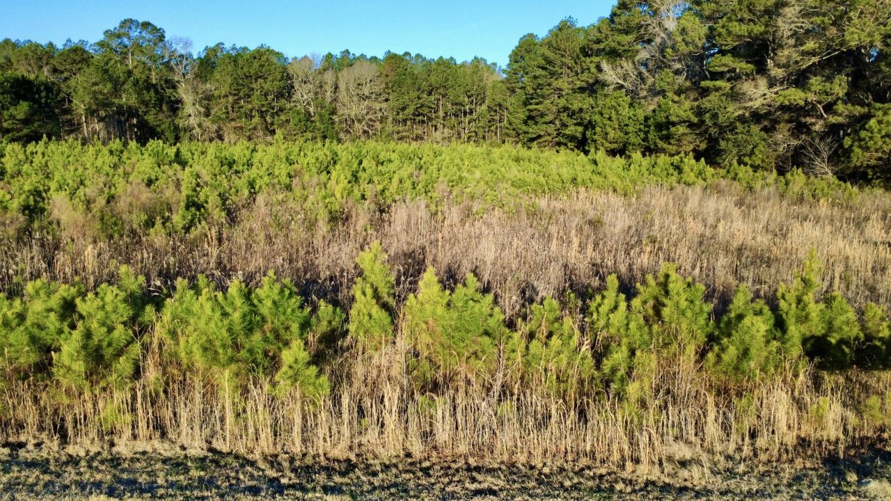 1 Dantzler Road Photo 6