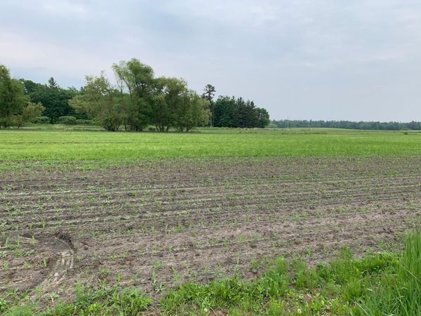 40 acres 5th Avenue, Camp Douglas, WI 54618