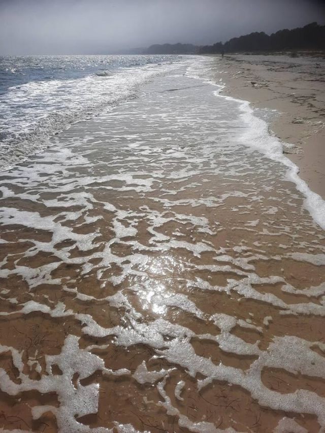 1897 Highway 98 West, Carrabelle, FL 32322 Photo