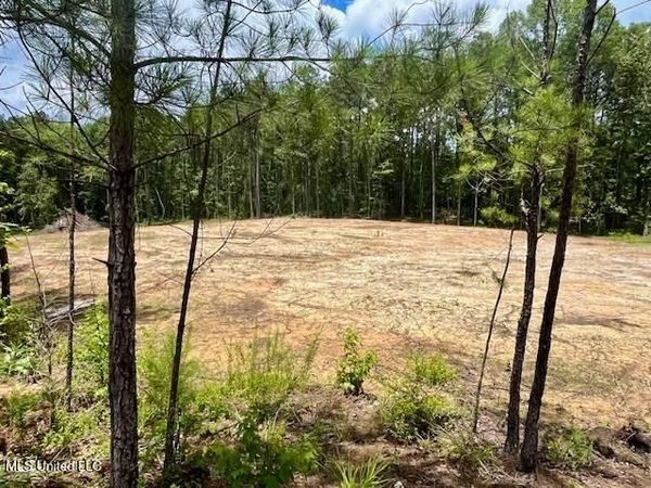 278 Poplar Springs Road, Mendenhall, MS 39114