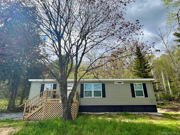 317 Debruce Road, Livingston Manor, NY 12758