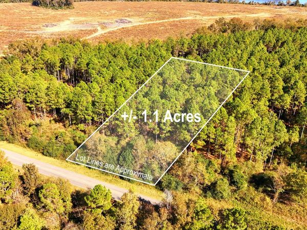 LOT 2 Middle Ground Church Road, Chester, GA 31012