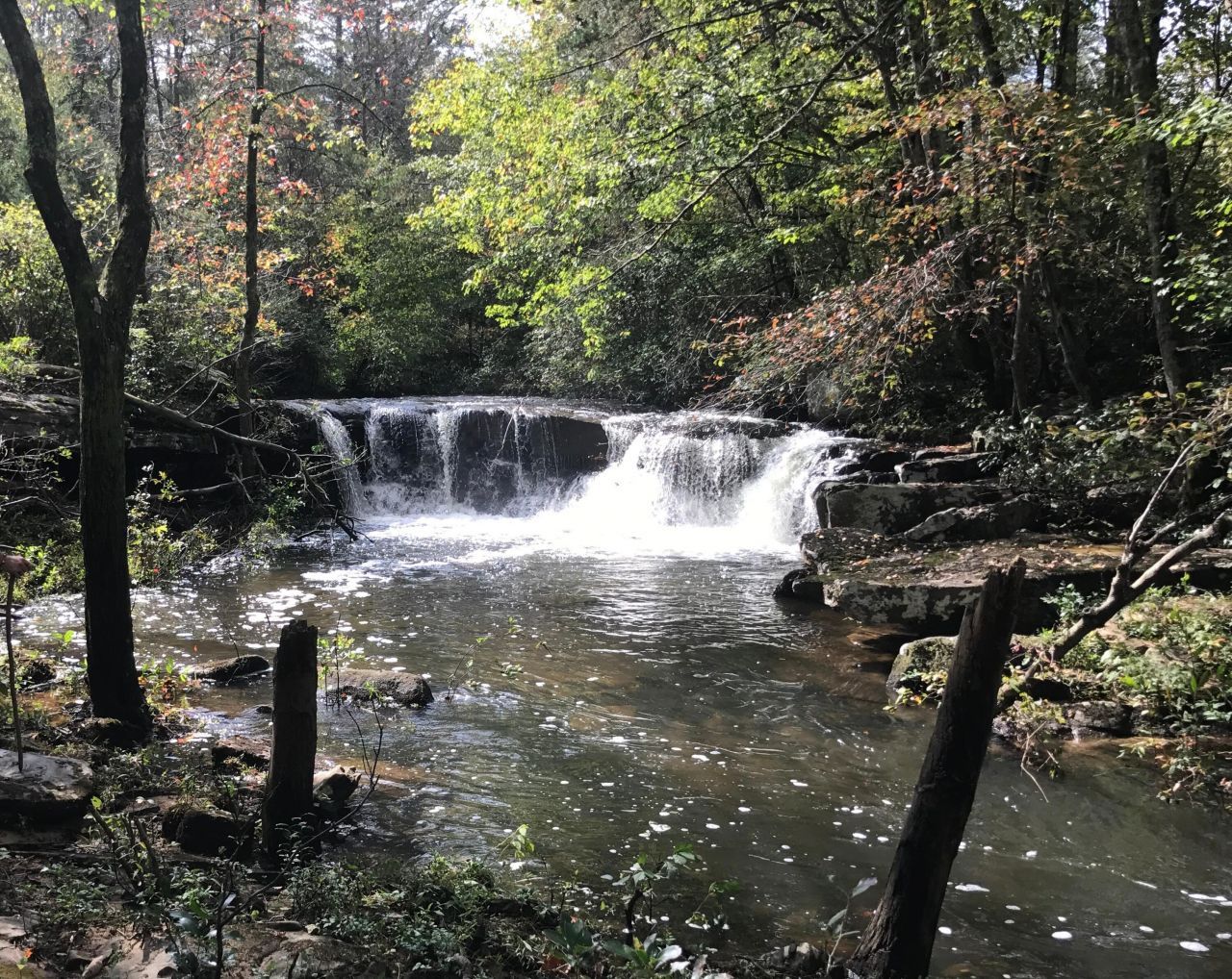 218 County Road 938, Higdon, AL 35979 Main Photo