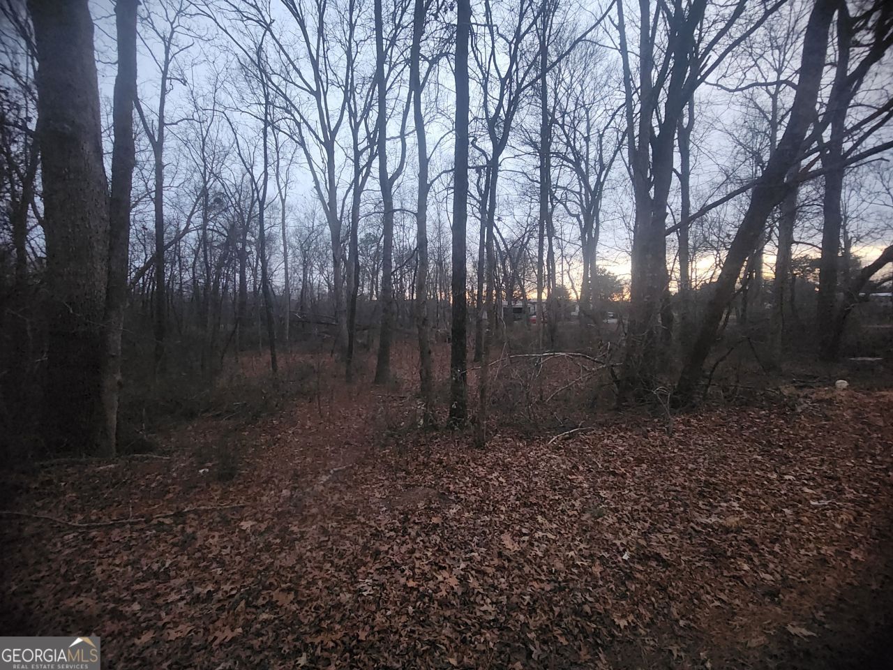 160 Tanglewood Lane, Hartwell, GA 30643 Main Photo