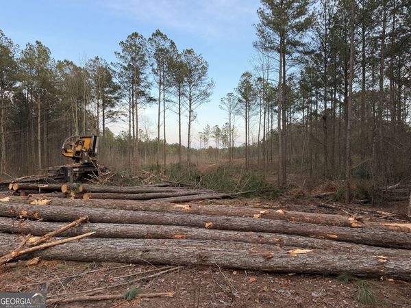 0 County Road 340, Woodland, AL 36280