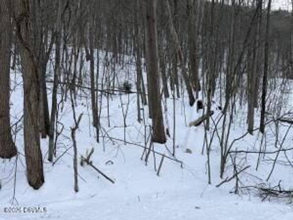 LOT 171 SCENIC Avenue, Bloomsburg, PA 17815