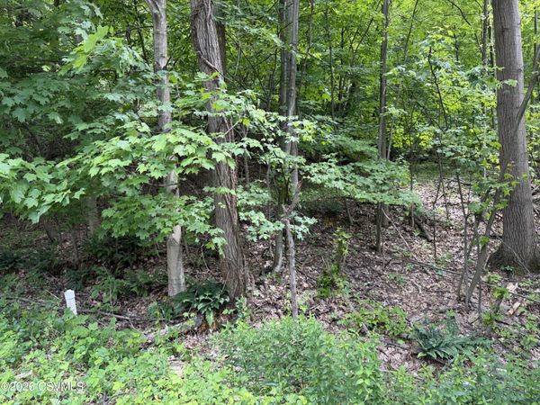 LOT 171 SCENIC Avenue, Bloomsburg, PA 17815