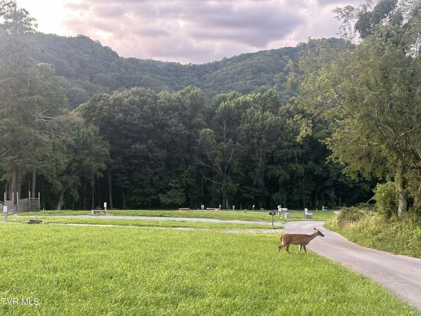 137 Dyer Road, Roan Mountain, TN 37687