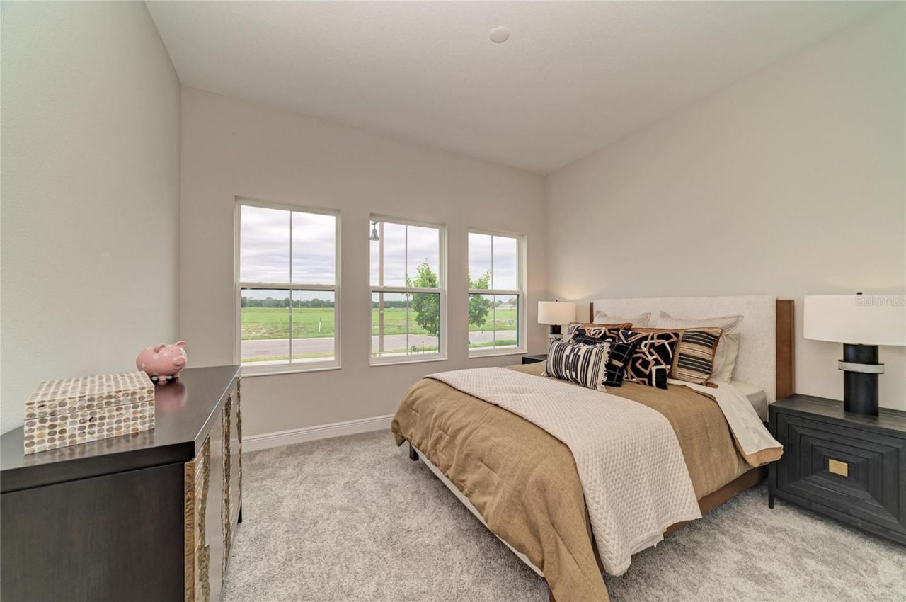 10858 Spring Sapling Circle, Parrish, FL 34219 Photo