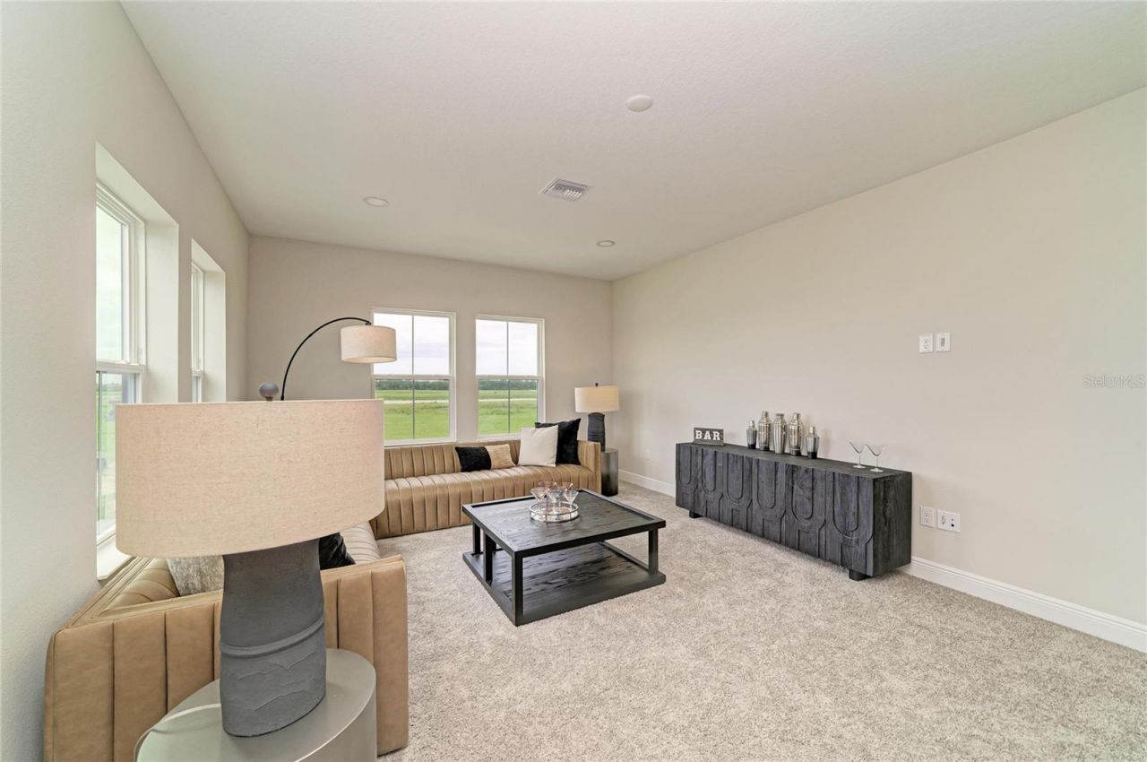 10858 Spring Sapling Circle, Parrish, FL 34219 Photo