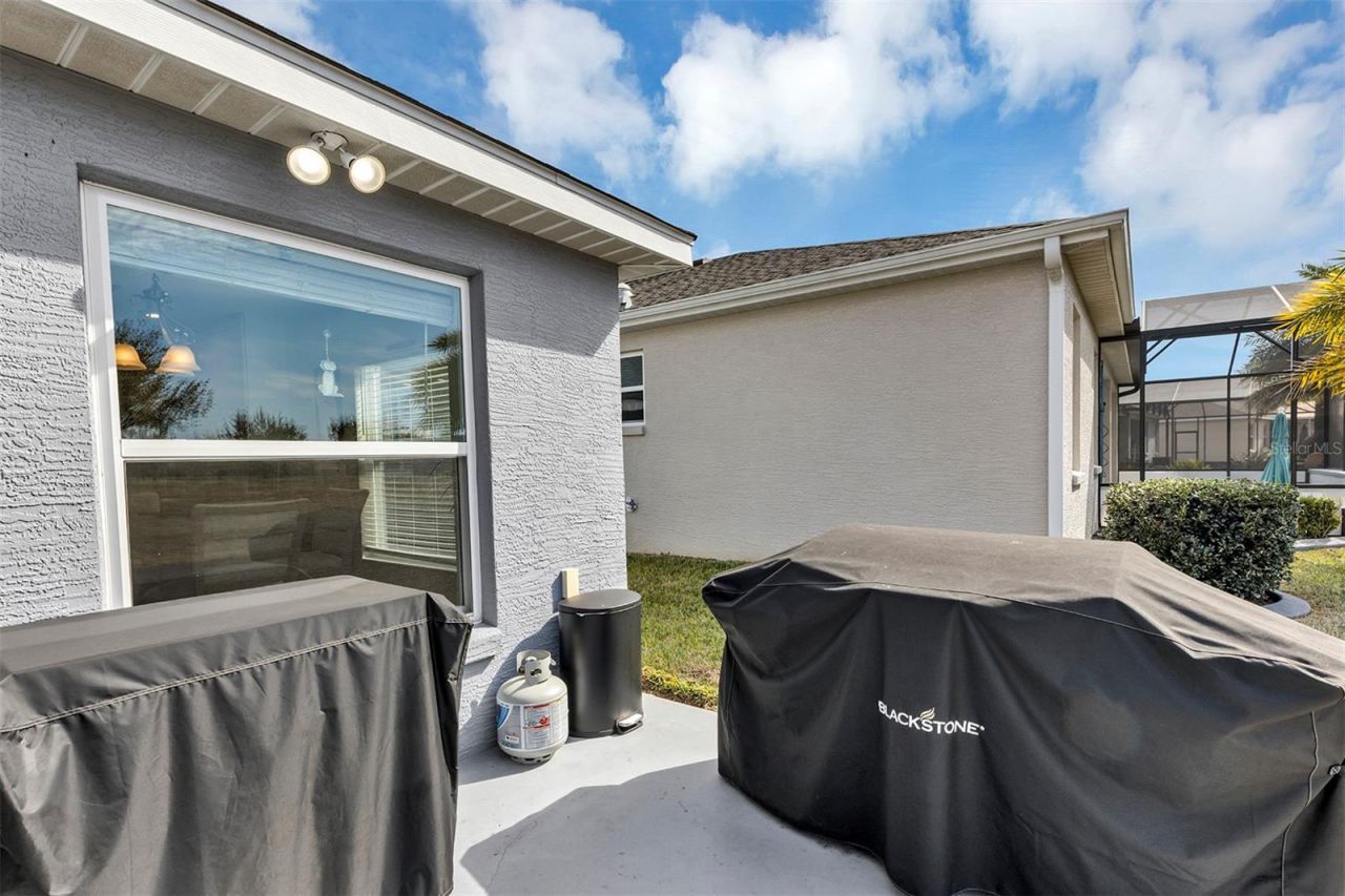4506 Shenandoah River Trail, Leesburg, FL 34748 Photo